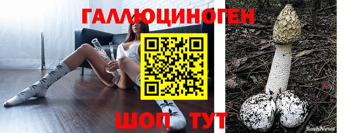 Псилоцибиновые грибы Magic Shrooms Киселёвск