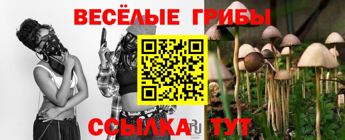 Киселёвск  где продают наркотики  Галлюциногенные грибы GOLDEN TEACHER  Вход с VPN  Галлюциногенные грибы мухоморы 